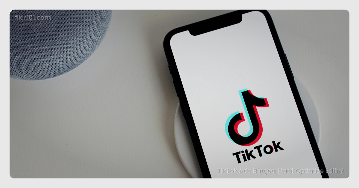 Otomatik Bütçe Optimizasyonu ve Manuel Kontrol Arasında Denge